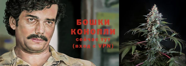 твердый Богданович