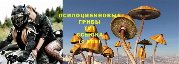 apvp Белоозёрский