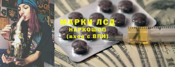 твердый Богданович