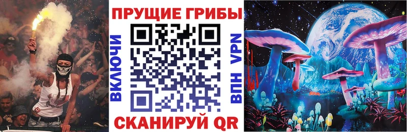 shop какой сайт  Великий Устюг  Псилоцибиновые грибы Cubensis  где купить наркоту 